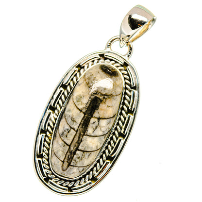 Sterling silver oval fossil pendant with Orthoceras inlaid, decorative edge and bail