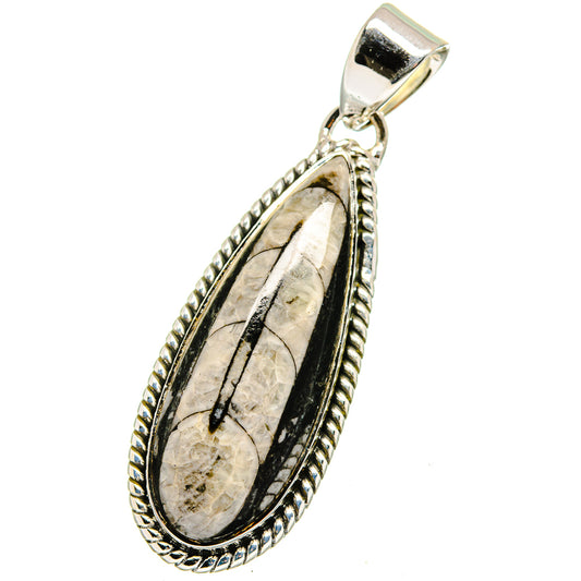 Orthoceras Fossil Pendants handcrafted by Ana Silver Co - PD13381