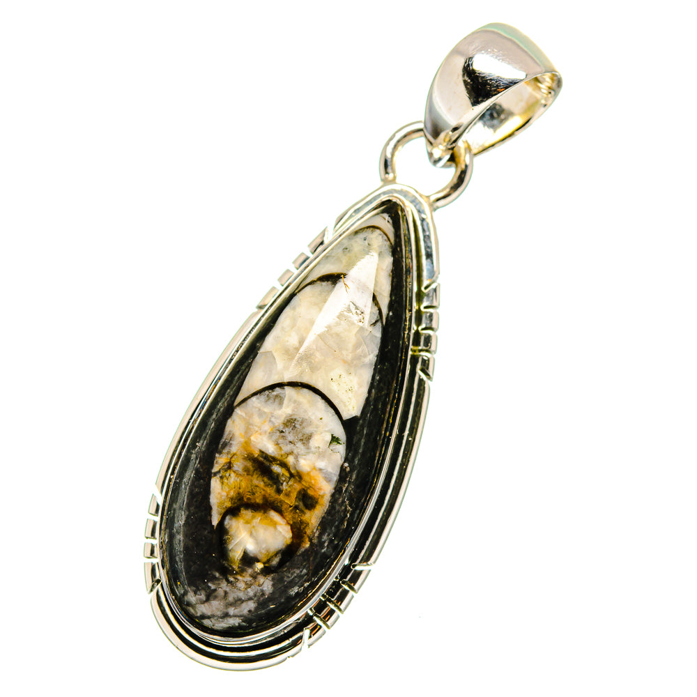 Orthoceras Fossil Pendants handcrafted by Ana Silver Co - PD13385