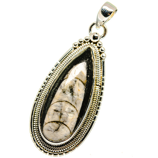 Orthoceras Fossil Pendants handcrafted by Ana Silver Co - PD13397