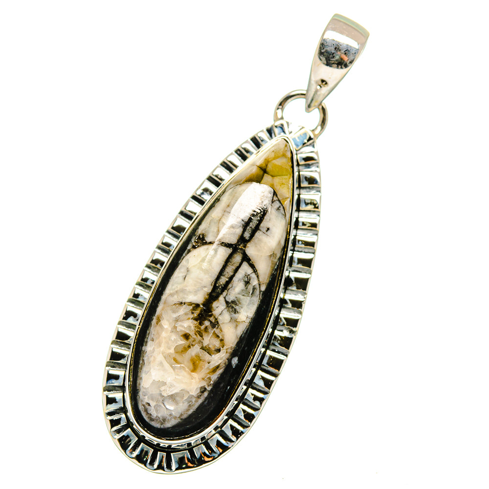 Orthoceras Fossil Pendants handcrafted by Ana Silver Co - PD13400