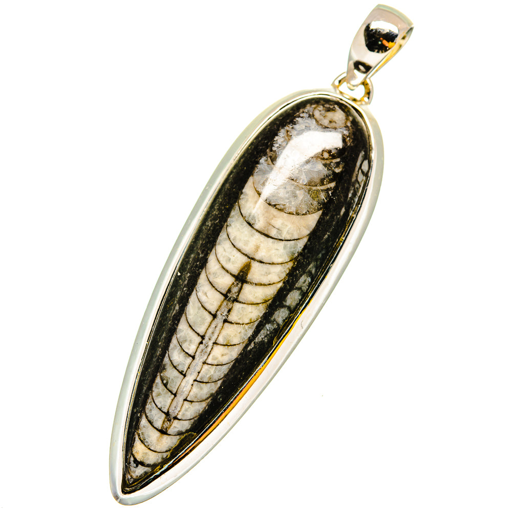 Orthoceras Fossil Pendants handcrafted by Ana Silver Co - PD13443