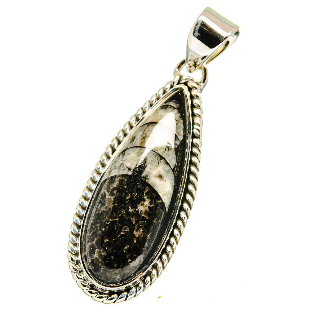 Orthoceras Fossil Pendants handcrafted by Ana Silver Co - PD13610