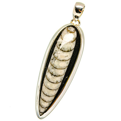 Orthoceras Fossil Pendants handcrafted by Ana Silver Co - PD14755