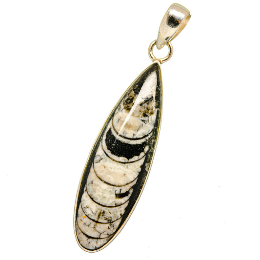Orthoceras Fossil Pendants handcrafted by Ana Silver Co - PD14777