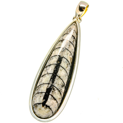 Orthoceras Fossil Pendants handcrafted by Ana Silver Co - PD14779