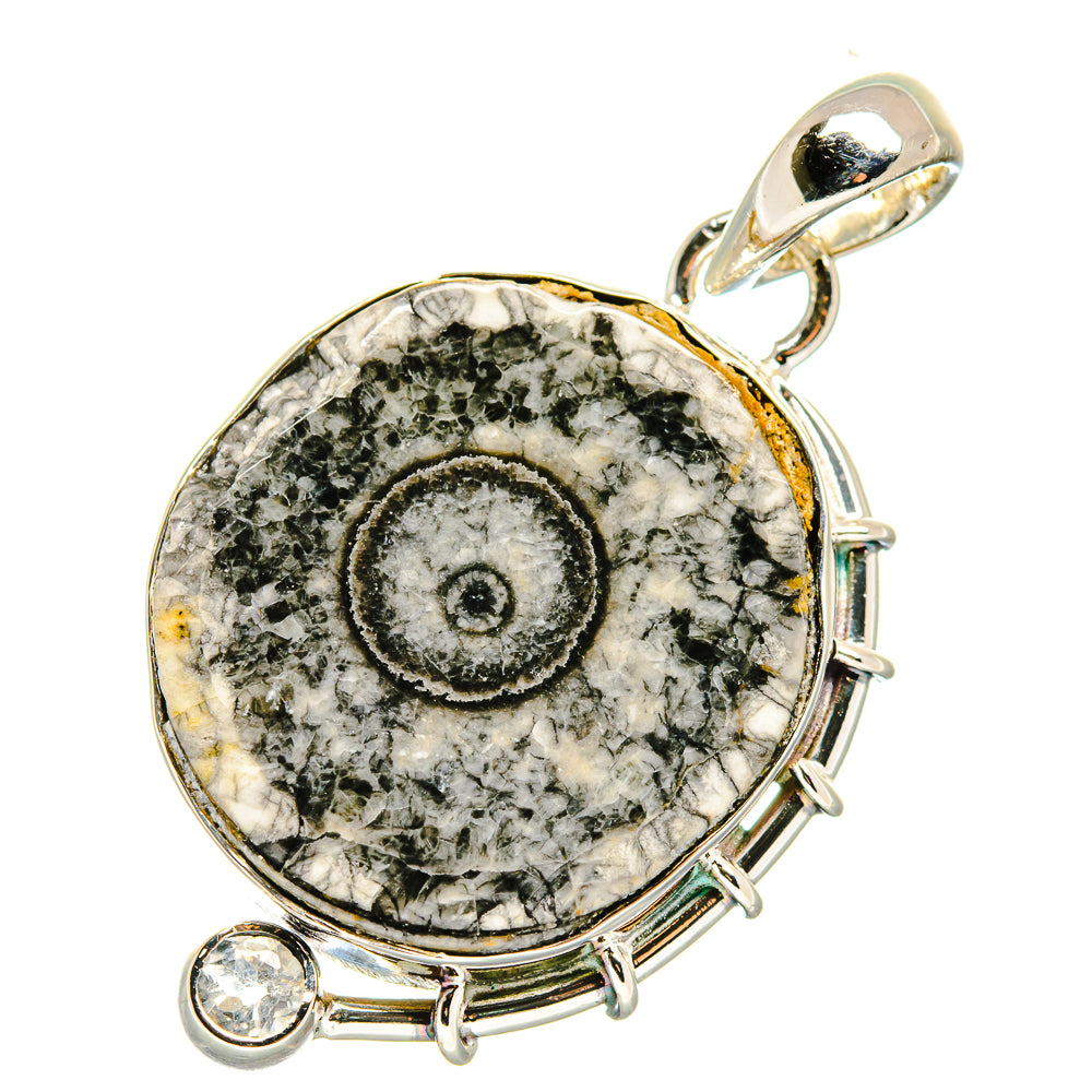 Moroccan Goniatite Fossil Pendants handcrafted by Ana Silver Co - PD17777