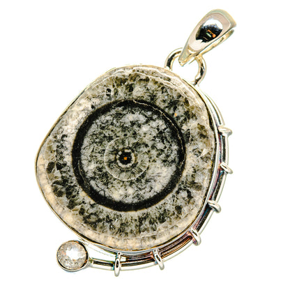 Moroccan Goniatite Fossil Pendants handcrafted by Ana Silver Co - PD17781