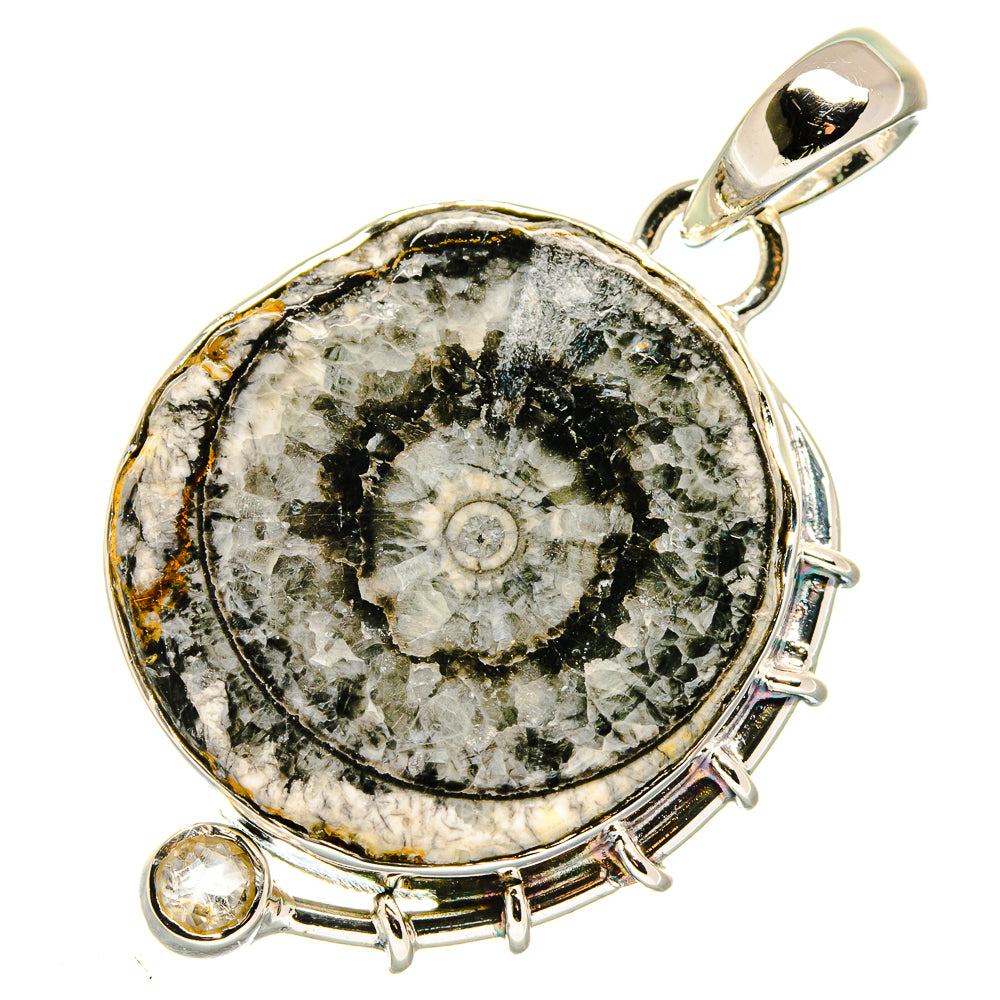Goniatite Fossil Pendants handcrafted by Ana Silver Co - PD17904
