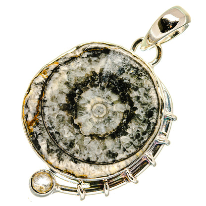 Goniatite Fossil Pendants handcrafted by Ana Silver Co - PD17904