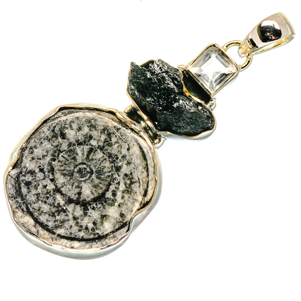 Goniatite Fossil Pendants handcrafted by Ana Silver Co - PD18124