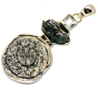 Goniatite Fossil Pendants handcrafted by Ana Silver Co - PD18124