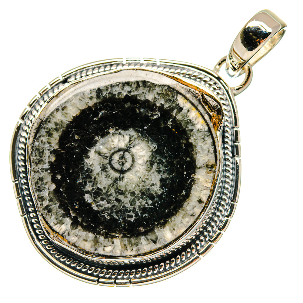 Goniatite Fossil Pendants handcrafted by Ana Silver Co - PD18270