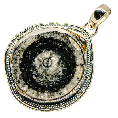 Goniatite Fossil Pendants handcrafted by Ana Silver Co - PD18270