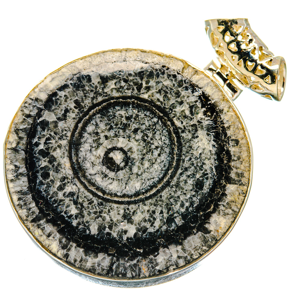 Moroccan Goniatite Fossil Pendants handcrafted by Ana Silver Co - PD20164