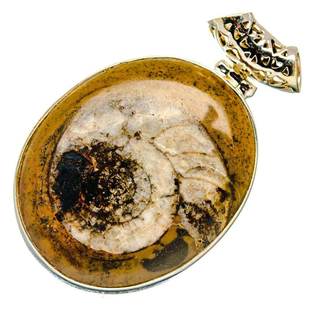 Ammonite Fossil Pendants handcrafted by Ana Silver Co - PD20165