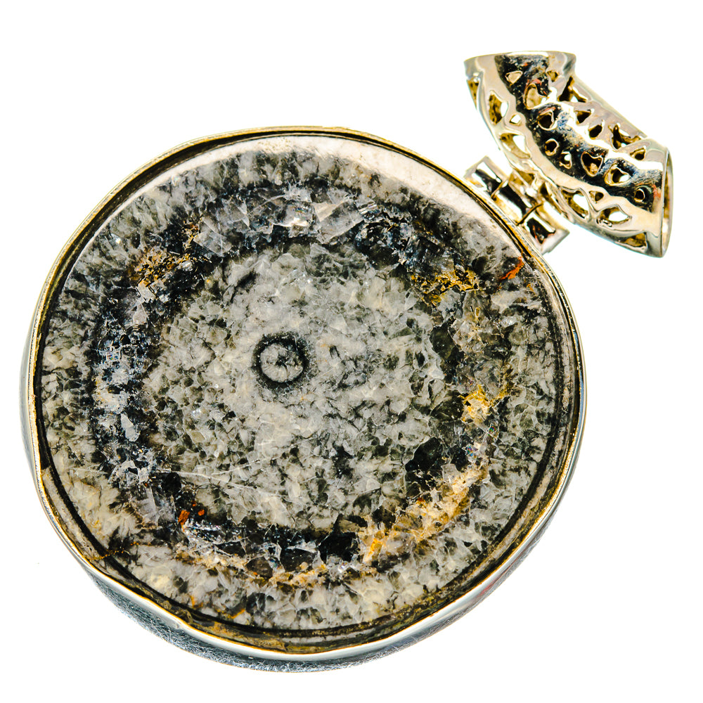 Moroccan Goniatite Fossil Pendants handcrafted by Ana Silver Co - PD20168