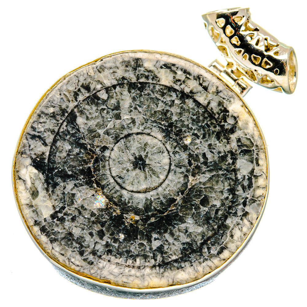 Moroccan Goniatite Fossil Pendants handcrafted by Ana Silver Co - PD20169
