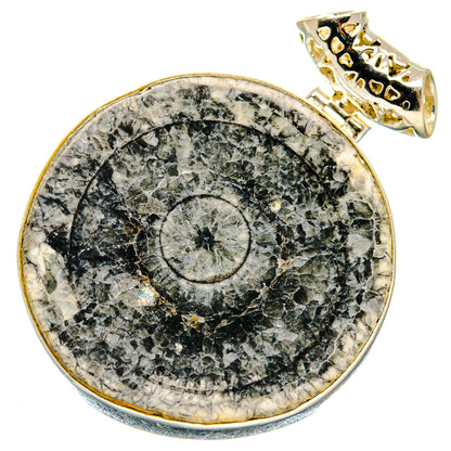 Moroccan Goniatite Fossil Pendants handcrafted by Ana Silver Co - PD20169
