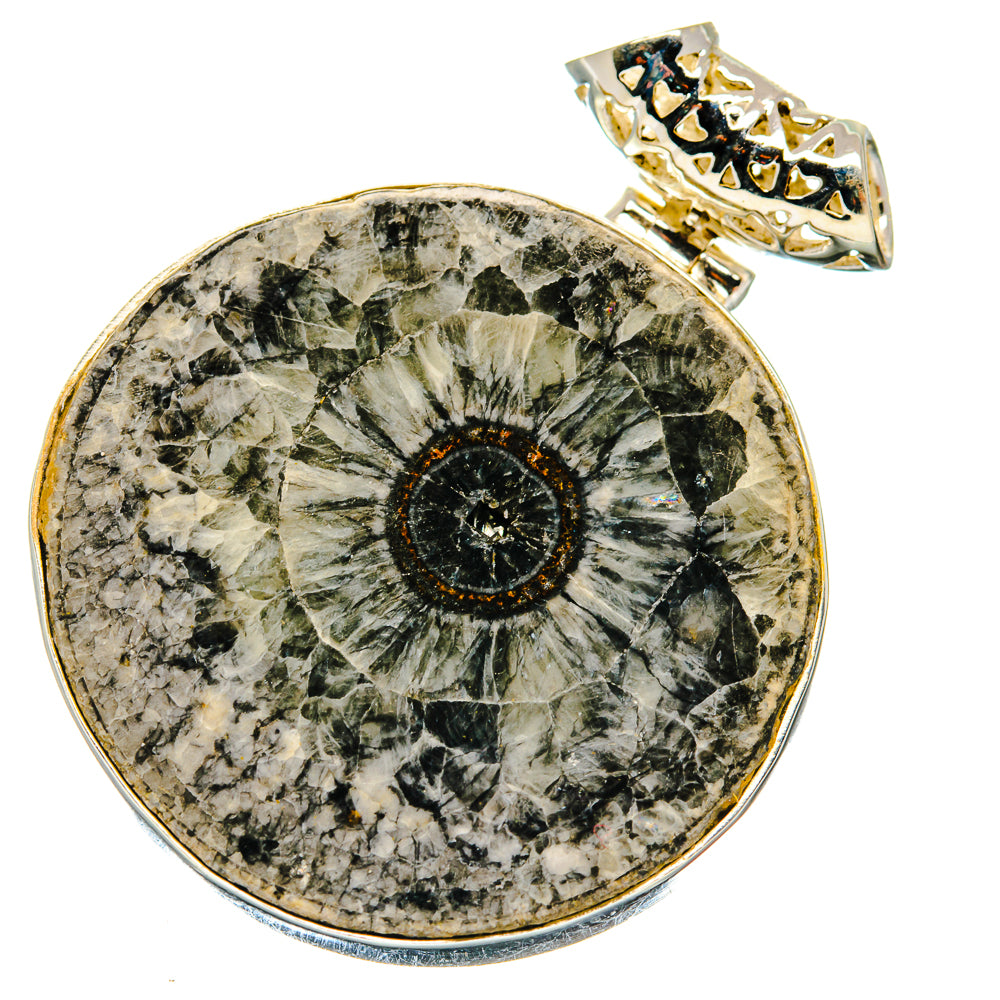Moroccan Goniatite Fossil Pendants handcrafted by Ana Silver Co - PD20170