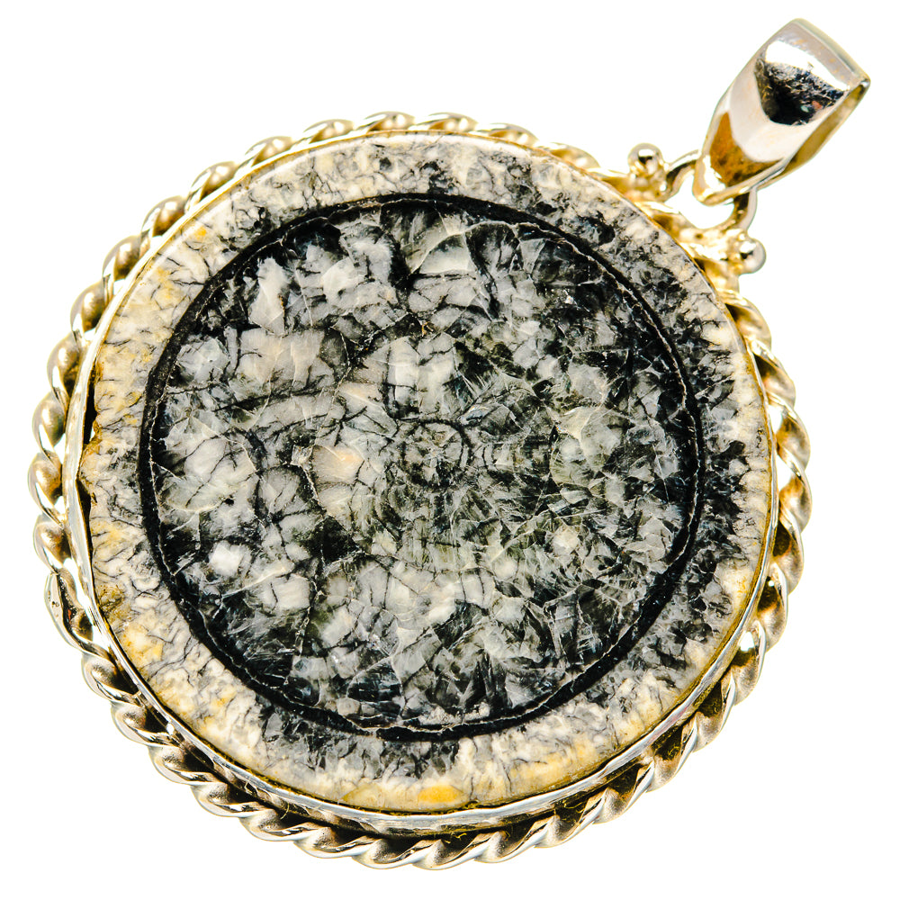 Moroccan Goniatite Fossil Pendants handcrafted by Ana Silver Co - PD20231