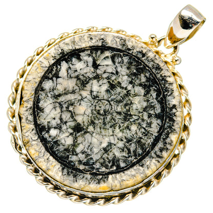 Moroccan Goniatite Fossil Pendants handcrafted by Ana Silver Co - PD20231