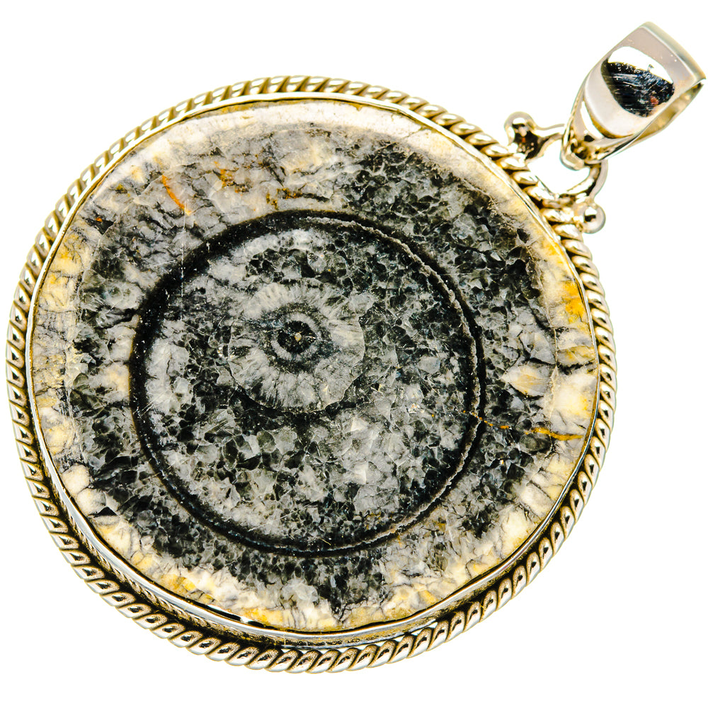 Moroccan Goniatite Fossil Pendants handcrafted by Ana Silver Co - PD20232