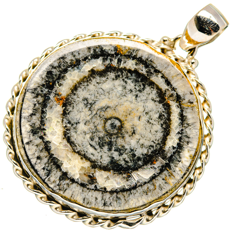 Oval fossil pendant with gold-tone bezel and 925 silver loop, black-gray stone