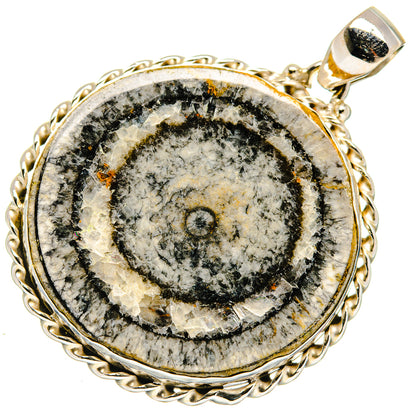 Oval fossil pendant with gold-tone bezel and 925 silver loop, black-gray stone