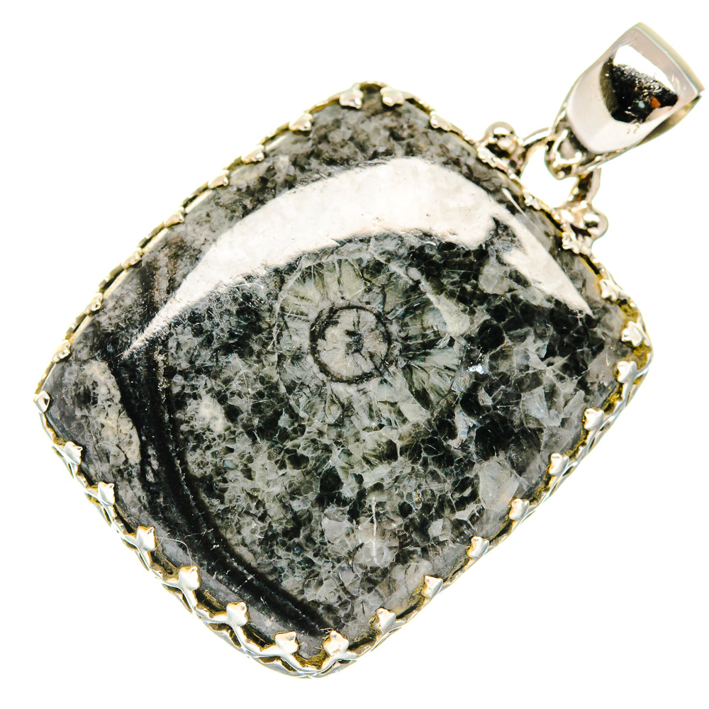 Moroccan Goniatite Fossil Pendants handcrafted by Ana Silver Co - PD20494