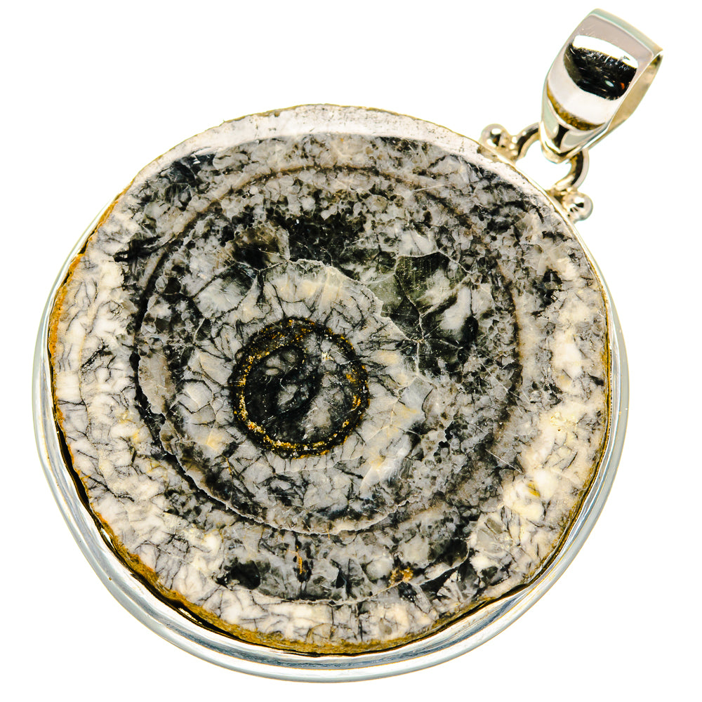 Moroccan Goniatite Fossil Pendants handcrafted by Ana Silver Co - PD20647