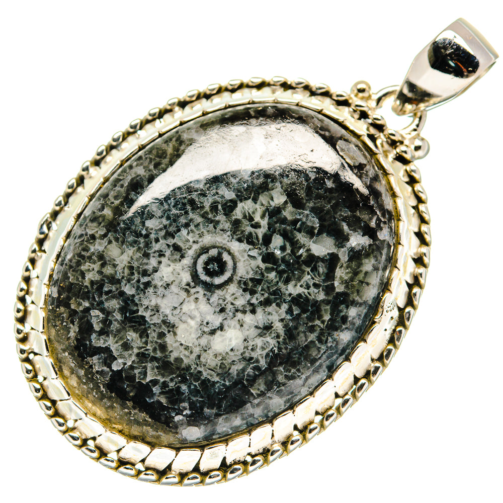 Moroccan Goniatite Fossil Pendants handcrafted by Ana Silver Co - PD20806