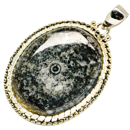 Moroccan Goniatite Fossil Pendants handcrafted by Ana Silver Co - PD20806