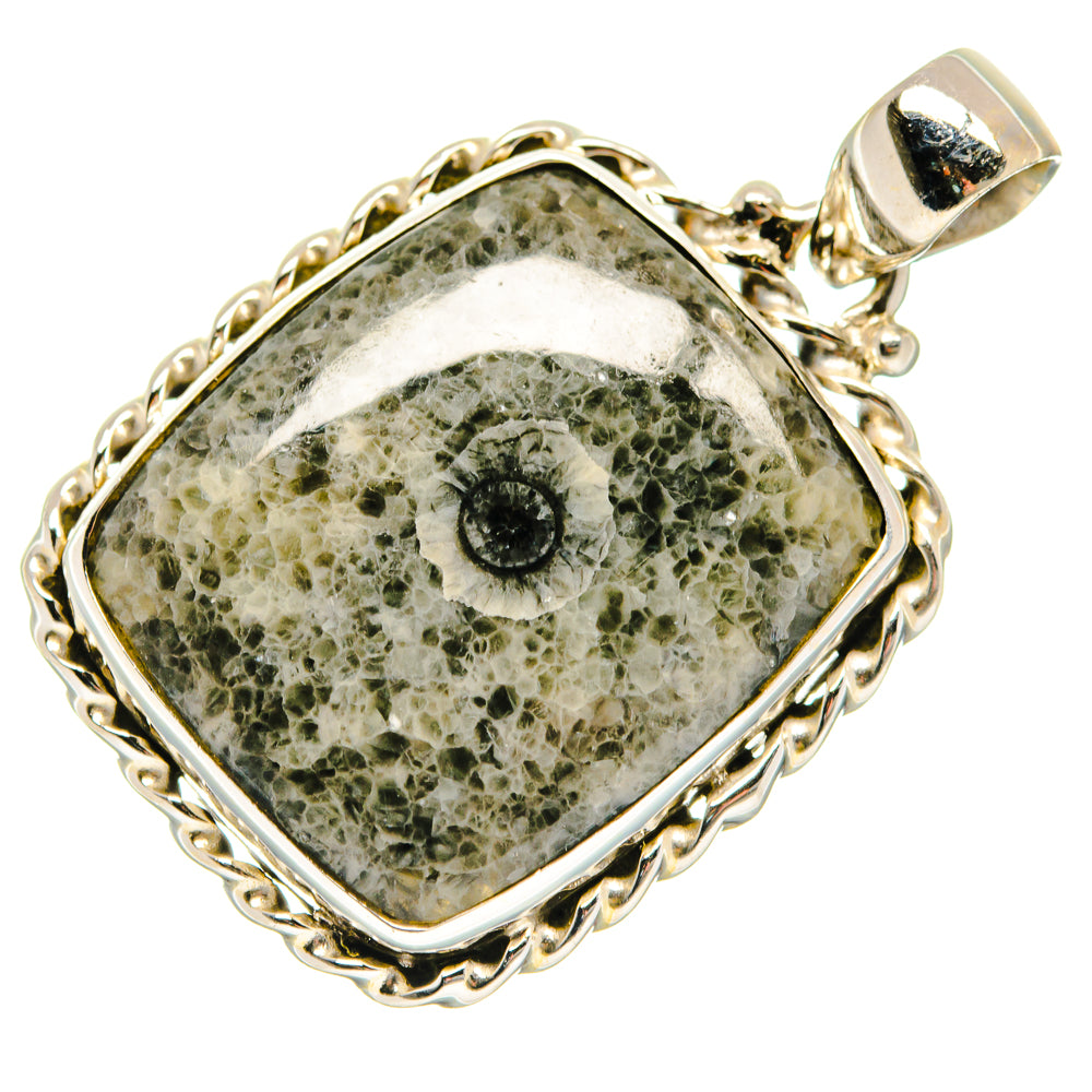 Moroccan Goniatite Fossil Pendants handcrafted by Ana Silver Co - PD20967