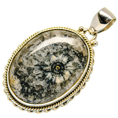 Moroccan Goniatite Fossil Pendants handcrafted by Ana Silver Co - PD21396