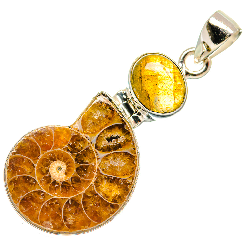 Ammonite Fossil, Labradorite Pendants handcrafted by Ana Silver Co - PD21818