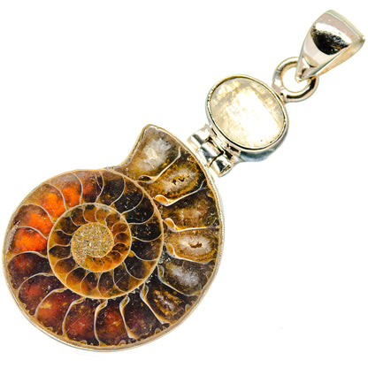 Ammonite Fossil Pendants handcrafted by Ana Silver Co - PD22062