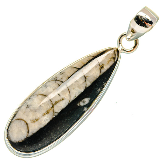 Orthoceras Fossil Pendants handcrafted by Ana Silver Co - PD22467 - Photo 2