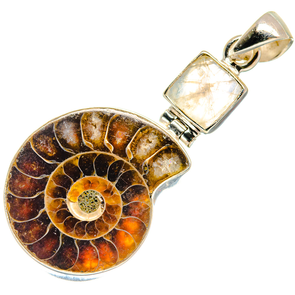 Ammonite Fossil Pendants handcrafted by Ana Silver Co - PD22828 - Photo 2