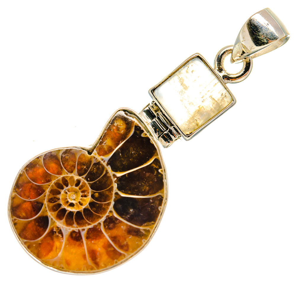 Ammonite Fossil Pendants handcrafted by Ana Silver Co - PD23014 - Photo 2
