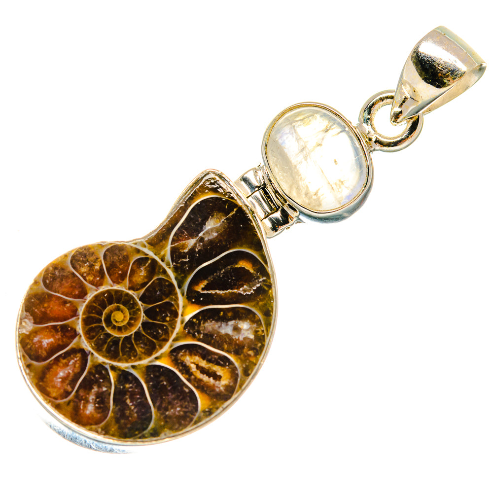 Ammonite Fossil Pendants handcrafted by Ana Silver Co - PD23392 - Photo 2