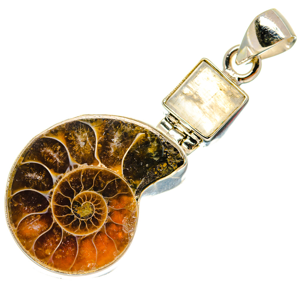 Ammonite Fossil Pendants handcrafted by Ana Silver Co - PD23512 - Photo 2