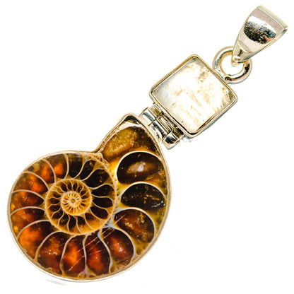 Ammonite fossil pendant with dark brown shell, iridescent moonstone in silver bail