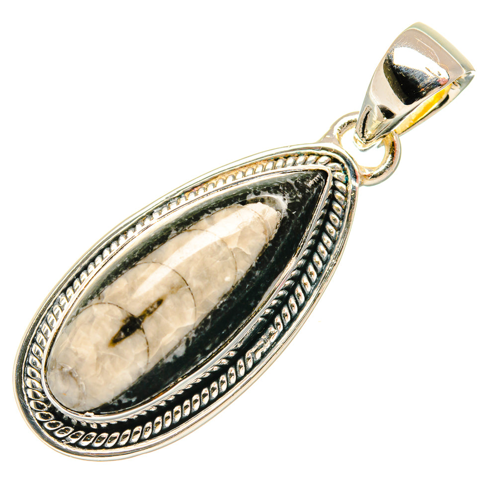 Orthoceras Fossil Pendants handcrafted by Ana Silver Co - PD26740 - Photo 2