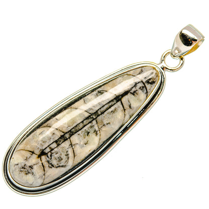 Orthoceras Fossil Pendants handcrafted by Ana Silver Co - PD27381 - Photo 2