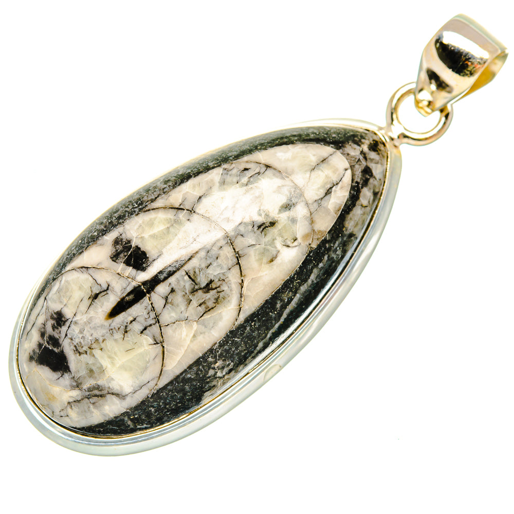 Orthoceras Fossil Pendants handcrafted by Ana Silver Co - PD27383 - Photo 2