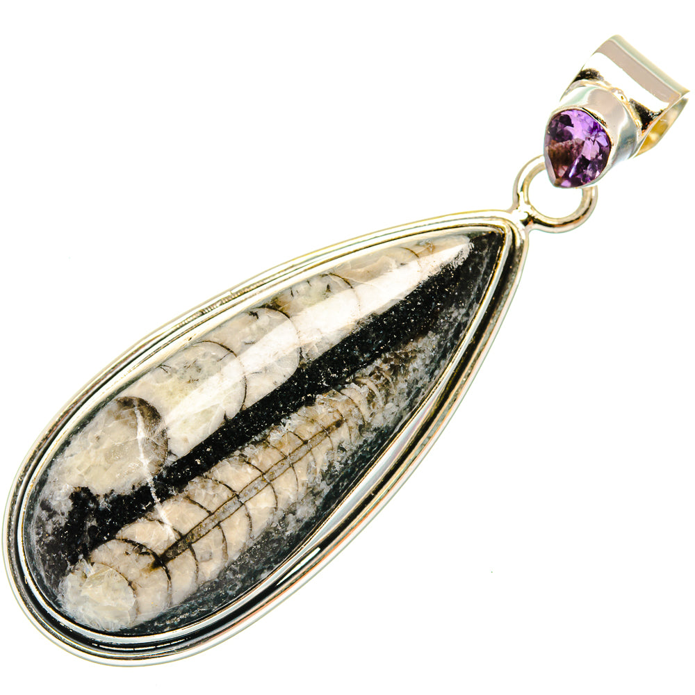 Orthoceras Fossil Pendants handcrafted by Ana Silver Co - PD27385 - Photo 2