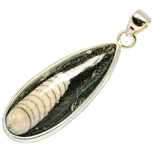 Orthoceras Fossil Pendants handcrafted by Ana Silver Co - PD27386 - Photo 2