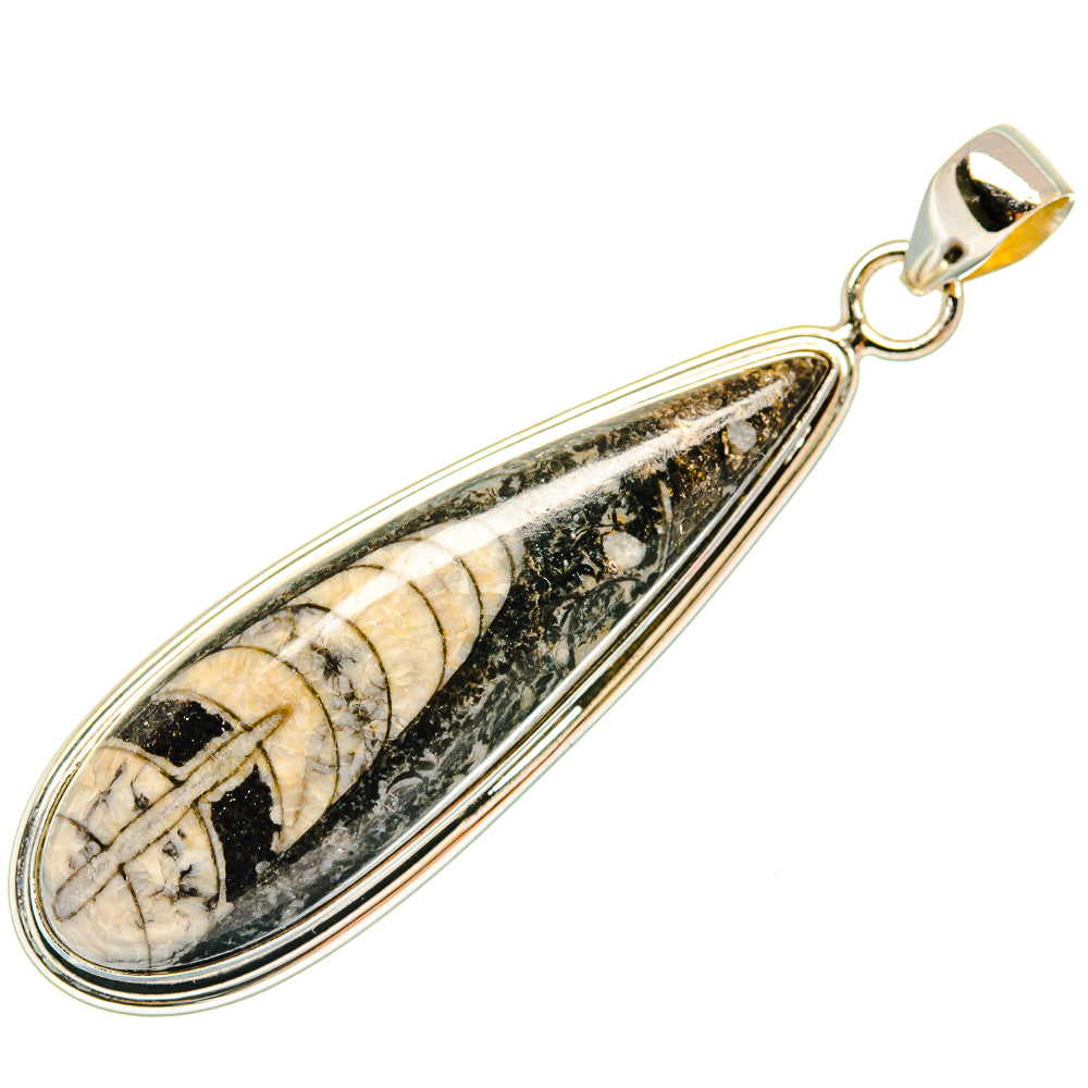 Orthoceras Fossil Pendants handcrafted by Ana Silver Co - PD27387 - Photo 2