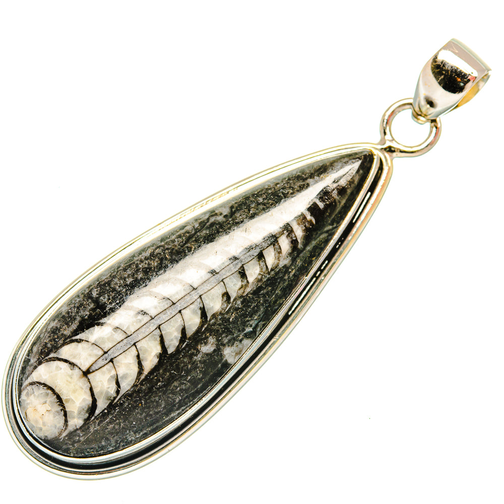 Orthoceras Fossil Pendants handcrafted by Ana Silver Co - PD27388 - Photo 2